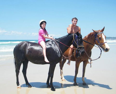 Pegasus Park Equestrian Centre - Tourism Cairns 1