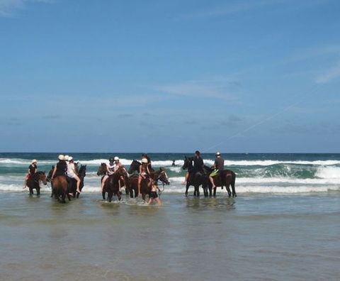 Pegasus Park Equestrian Centre - Tourism Cairns 2