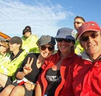 Byron Bay Whale Watching - Tourism Cairns