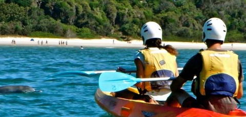 Go Sea Kayak - Tourism Cairns 2