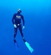 Byron Bay Dive Centre - Tourism Cairns 1