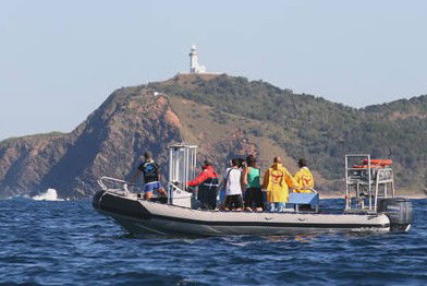 Byron Bay Dolphin Wildlife Tours - Tourism Cairns 1