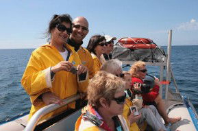Byron Bay Dolphin Wildlife Tours - Tourism Cairns 2
