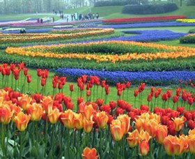 Botanica World Discoveries - Tourism Cairns 0