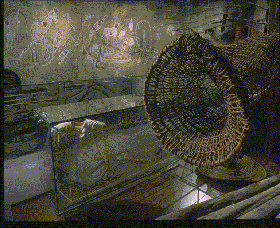 Australian Museum - Tourism Cairns 3