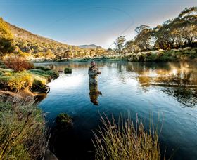 Tumut NSW Tourism Cairns