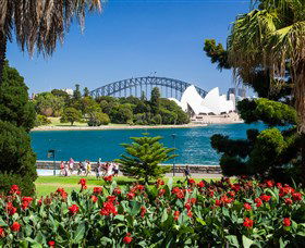 Aboriginal Heritage Tour - Tourism Cairns 0