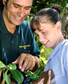 Aboriginal Heritage Tour - Tourism Cairns 1