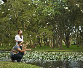 Centennial Parklands - Tourism Cairns 3