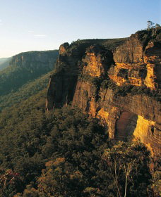 Blue Mountains Mountain Bike Adventure Tour - Tourism Cairns 0