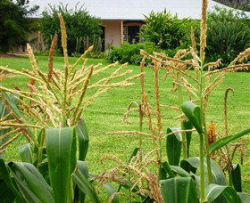 Experiment Farm Cottage - Tourism Cairns 4