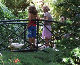 EG Waterhouse National Camellia Garden - Tourism Cairns 0