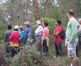 Boronia Tours - Tourism Cairns 0