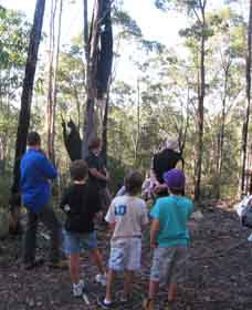 Boronia Tours - Tourism Cairns 1