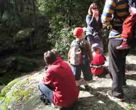 Boronia Tours - Tourism Cairns 2