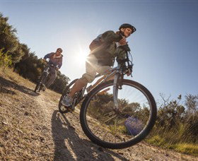 Royal National Park - Tourism Cairns 1