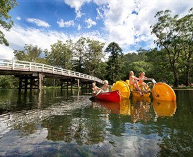 Royal National Park - Tourism Cairns 0
