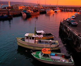 Australian Sightseeing And Photography Tours - Tourism Cairns 2