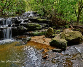 Australian Sightseeing And Photography Tours - Tourism Cairns 1
