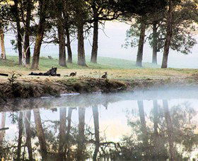 Australian Sightseeing And Photography Tours - Tourism Cairns 4