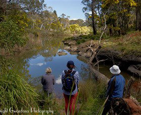 Australian Sightseeing And Photography Tours - Tourism Cairns 5