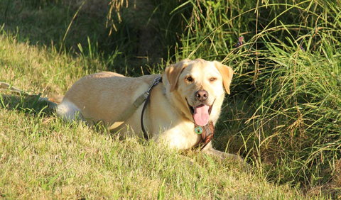 Rouse Hill Regional Park - Tourism Cairns 1