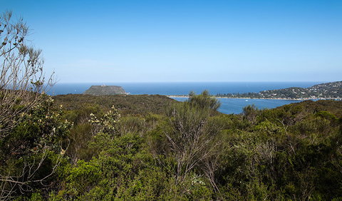 Aboriginal Heritage Walk - Tourism Cairns 1