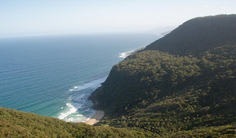 Palm Jungle Loop Track - Tourism Cairns 1