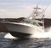 1300 Big Fish - Tourism Cairns