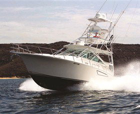 1300 Big Fish - Tourism Cairns 0