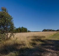 Scheyville horse riding trails - Tourism Cairns