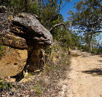 Canoelands Ridge walking track - Tourism Cairns