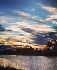 Governor Phillip Park - Tourism Cairns 0