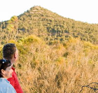 Piles Creek loop - Tourism Cairns