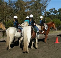 Darkes Forest Riding Ranch - Tourism Cairns