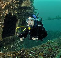 Ex-Hmas Adelaide Dive Site - Tourism Cairns