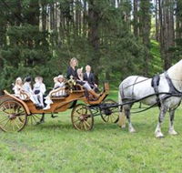 Classic Carriage Drives - Tourism Cairns