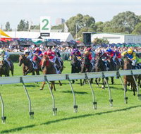 Morphettville Racecourse - Tourism Cairns