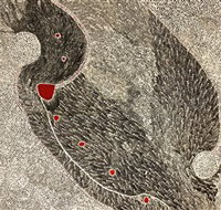 Marshall Arts - Tourism Cairns