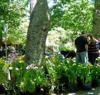 The Stirling Market - Tourism Cairns