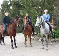 Academy of Dressage - Tourism Cairns