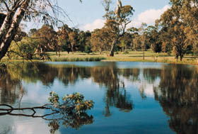 Echunga Golf Club Incorporated - Tourism Cairns 1