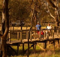 Loxton's Drives Walks and Trails - Tourism Cairns