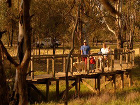 Loxton's Drives, Walks And Trails - Tourism Cairns 0