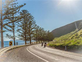 Lady Bay Beach - Tourism Cairns 2