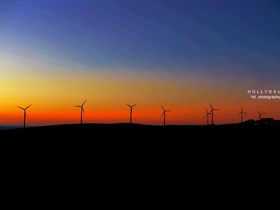 Starfish Hill Windfarm - Tourism Cairns 0