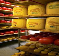 Alexandrina Cheese Company - Tourism Cairns