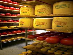 Alexandrina Cheese Company - Tourism Cairns 0