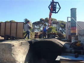 Emu Ridge Eucalyptus - Tourism Cairns 1