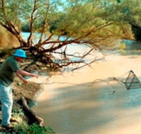 Charleville - Ward River Fishing Spot - Tourism Cairns